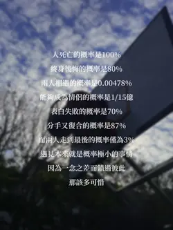 兩人相遇的機率是0.00478%