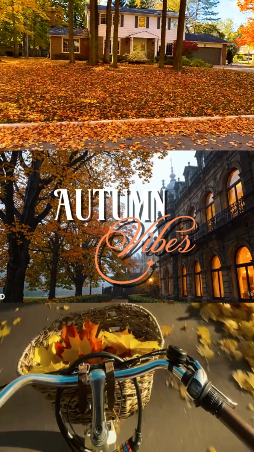 Herbstvibes ⋆. ˚