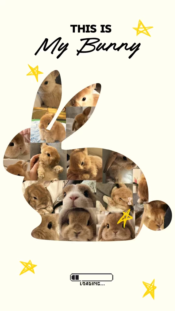 Este é o meu coelho 