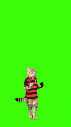 Flamengo.