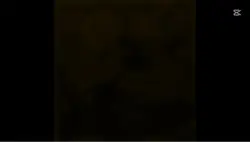 落在生命裡的光