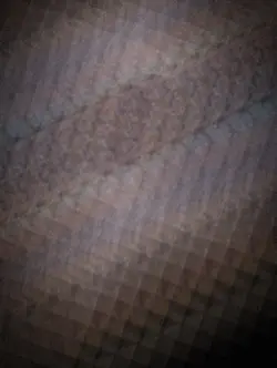 Rora