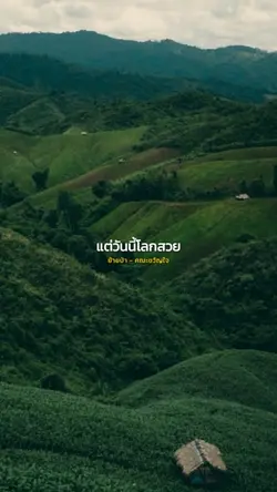 ย้ายป่า