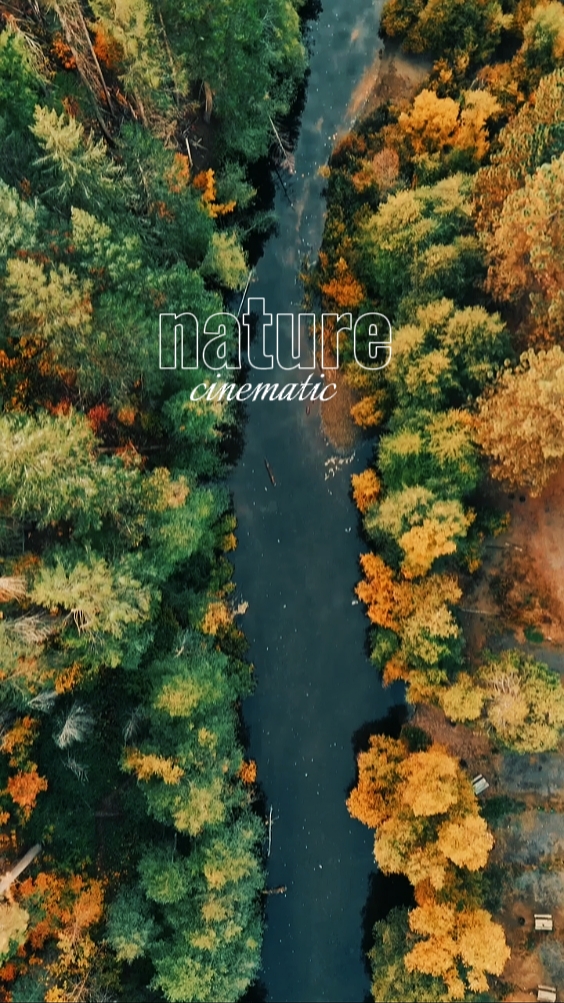 Nature Cinematic