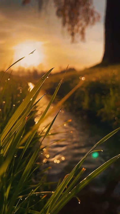 Kalikasan sa Cinematic