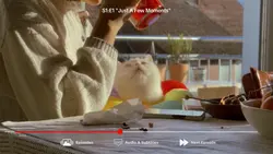 NETFLIX VLOG | 8 📸