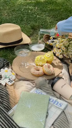 Picnic Vibes