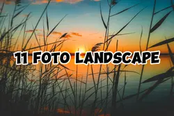 11 foto landscape
