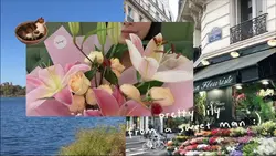 aesthetic vlog