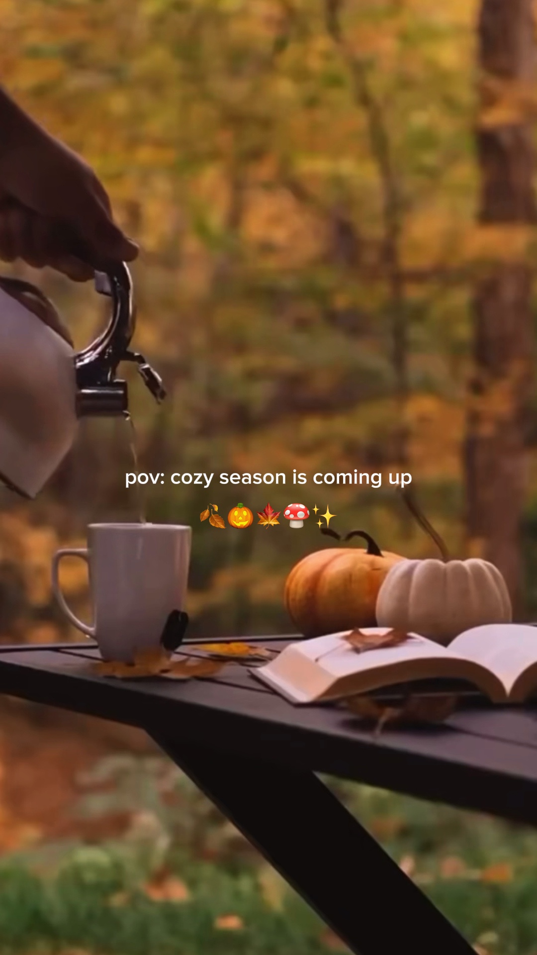 Autumn is coming 🍁☕️