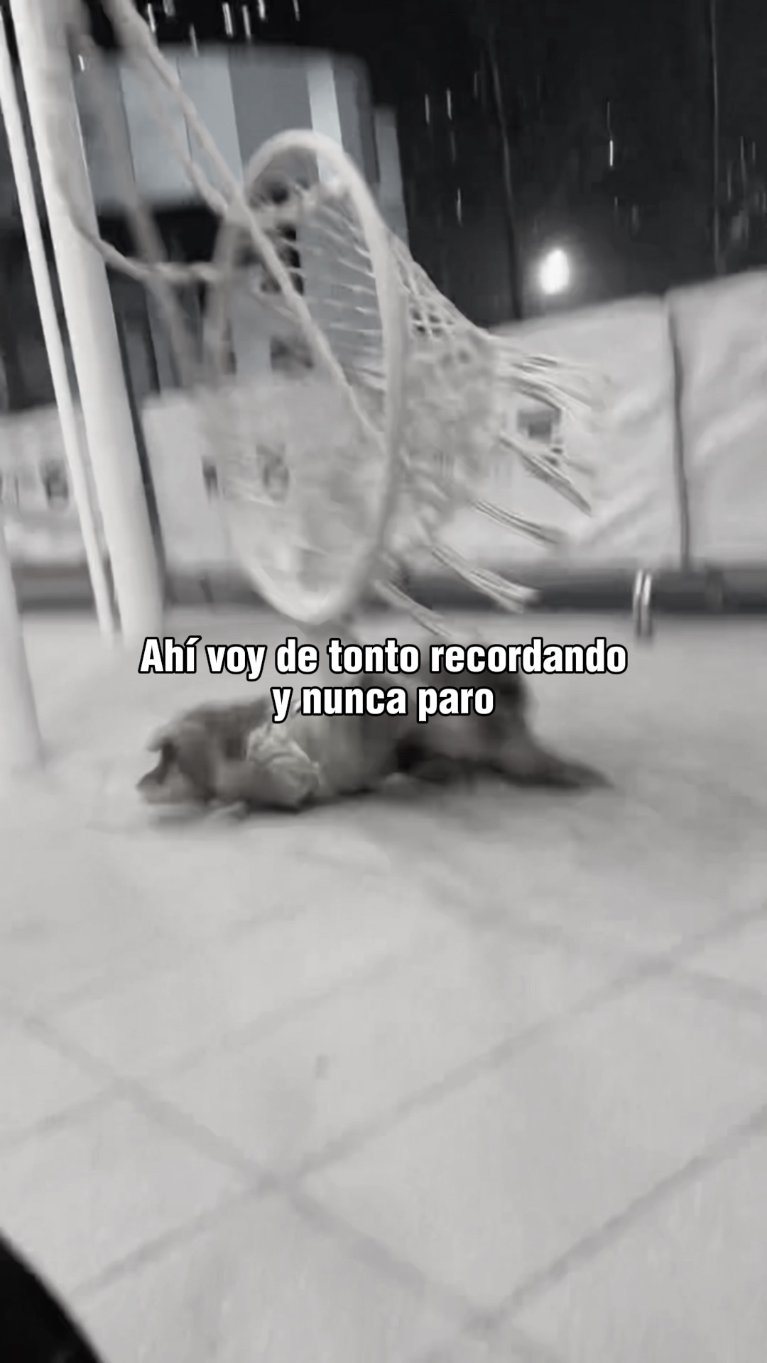 Ahí voy de tonto