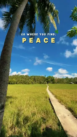 Go where u find peac