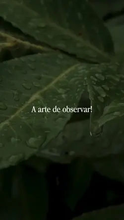 A arte de observar 