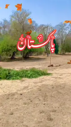 پاکستان زندہ باد