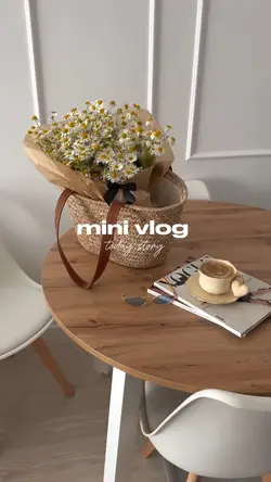 mini vlog 