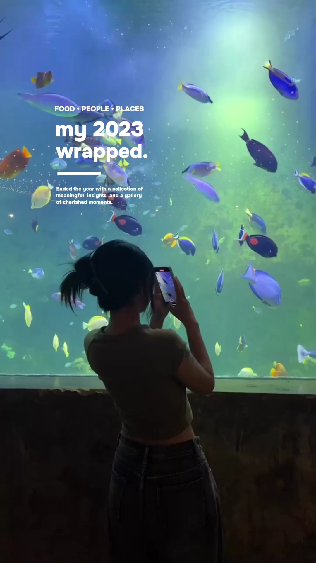 MY 2023 WRAPPED