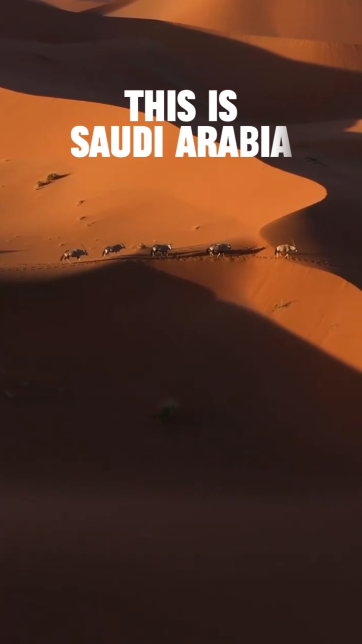 Ito ang Saudi