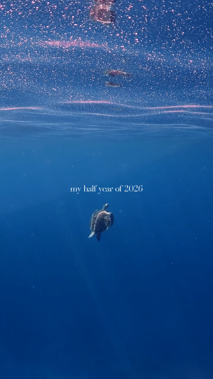 my half year 2026