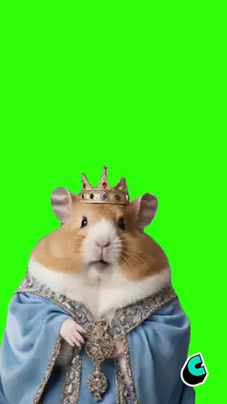 HAMSTERDAM MEME