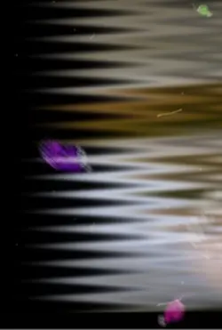 যে দেশে চেনাজানা মানুষ কোনো নাই😩