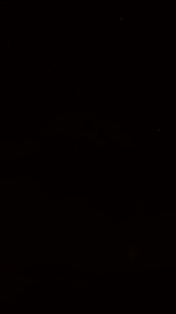 Fondo belakang