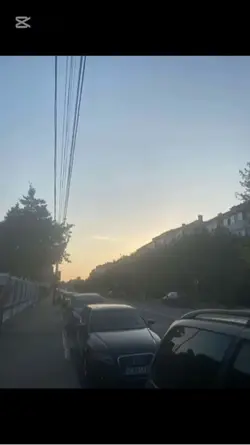 Bldp