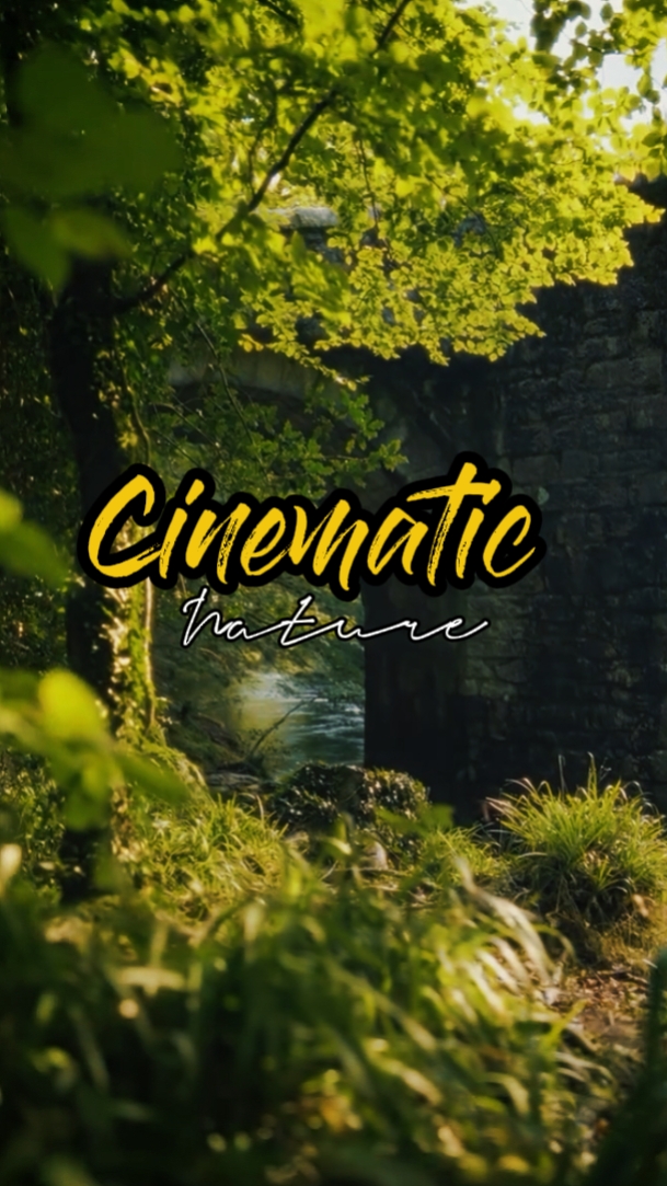 cinematic nature 