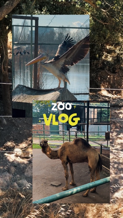 Vlog del zoológico