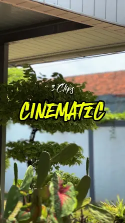 3 Clips Cinematic