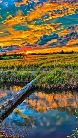 FILTER HD