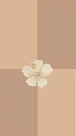 4photo