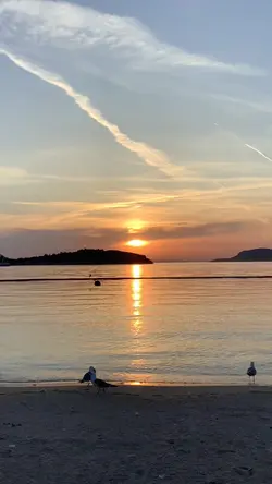 Slowmo❤️