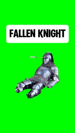 FALLEN KNIGHT