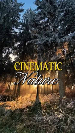 Cinematic Nature.