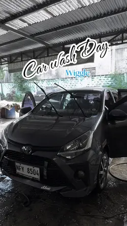 CARWASH DAY