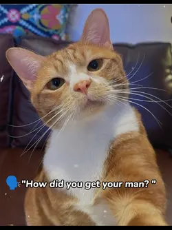 How did u get ur man