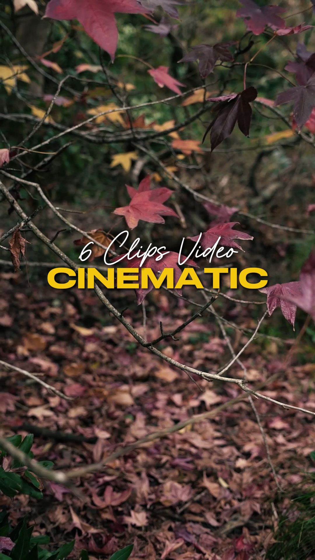 Cinematic 6 Video