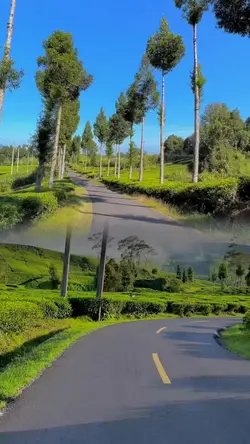 2 video 1 frame