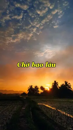 Xuôi dòng theo con