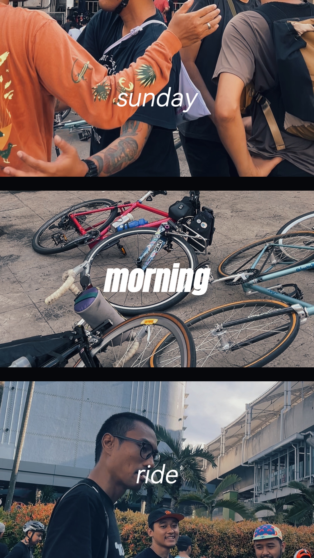 Vida ciclista