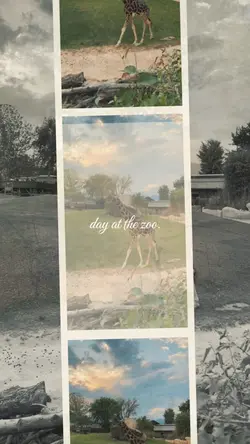 Day at the zoo