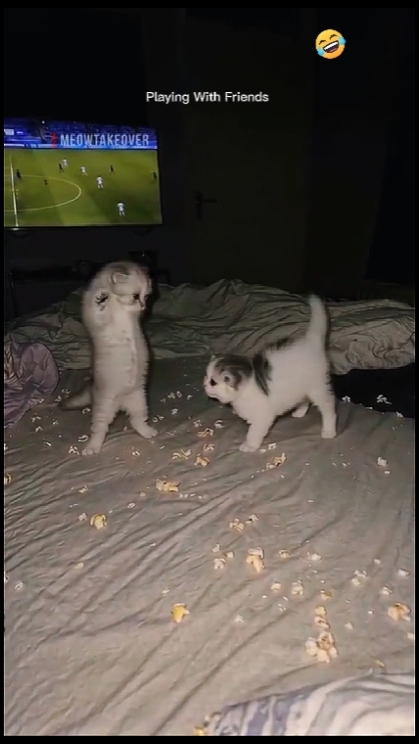 Metni Düzenle