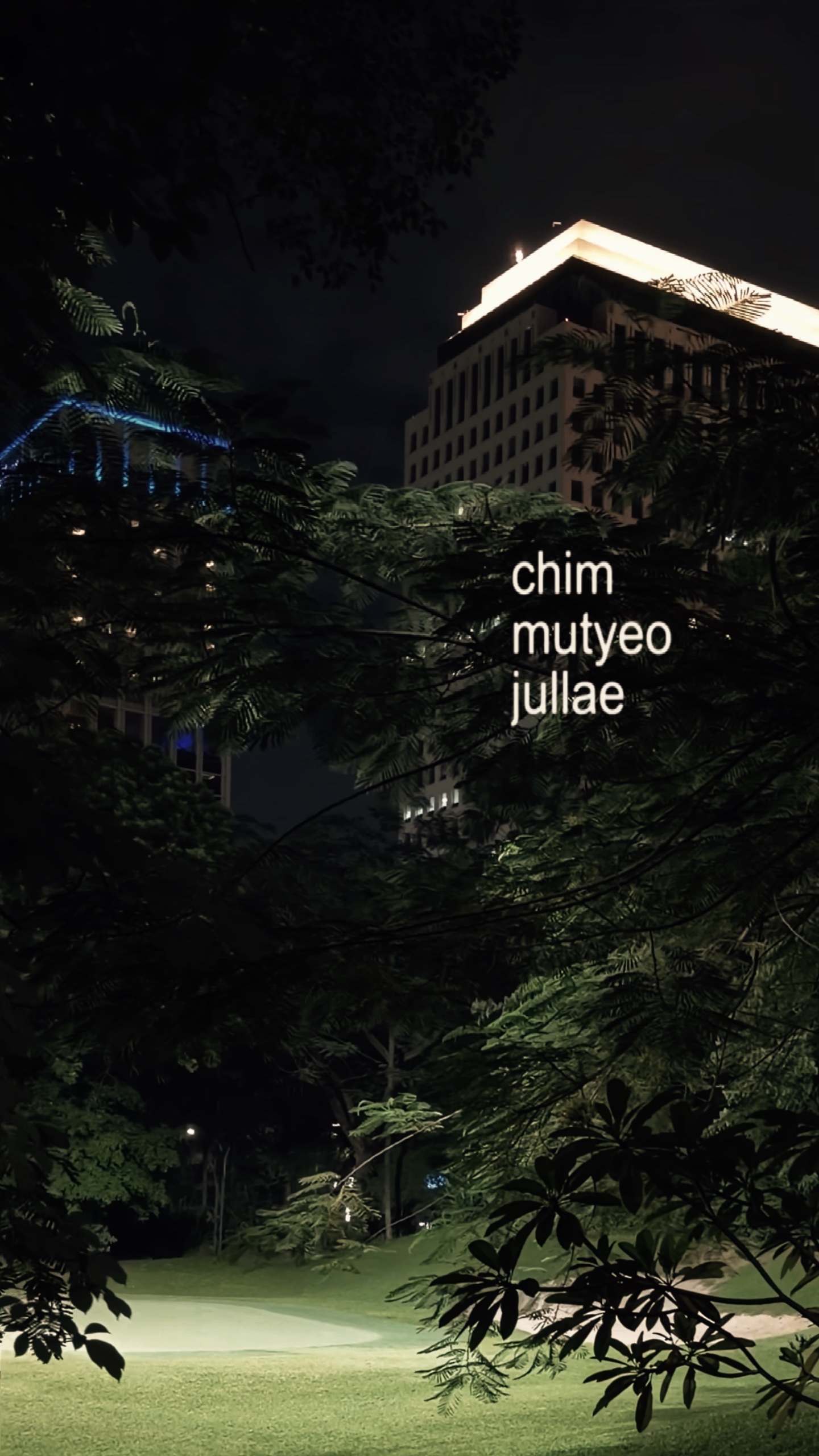 Aesthetic lyrics 
