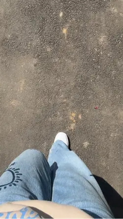 Ich wollte euch