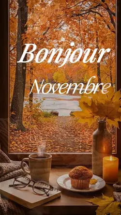 Bonjour Novembre 
