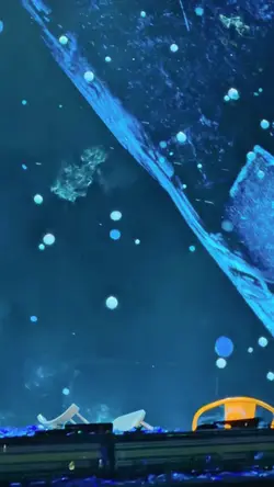 Mẫu 1 vid 5 ảnh