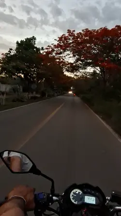 Buenas noches