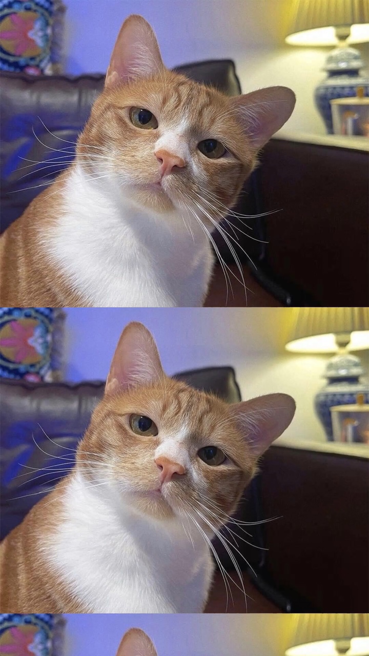 คิดถึงกันรึป่าว