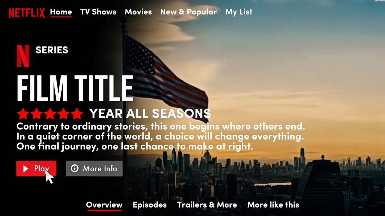 Netflix New Version