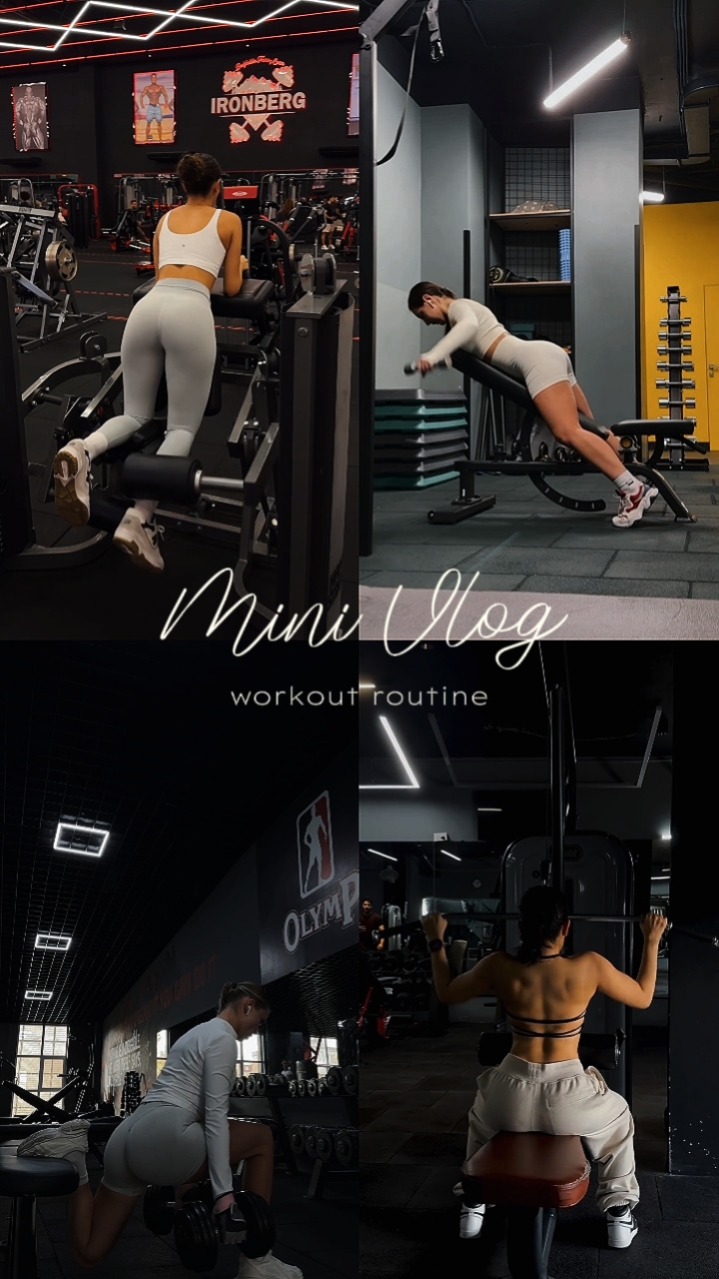 workout Routine 